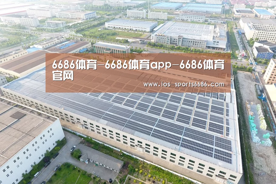 案例展示二