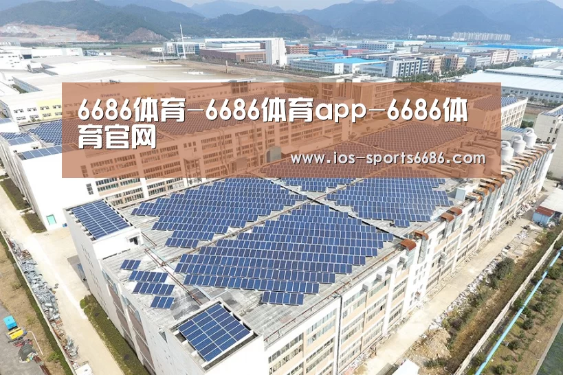 案例展示二