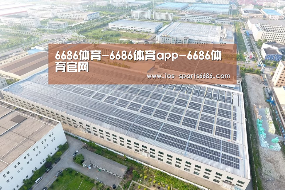案例展示三
