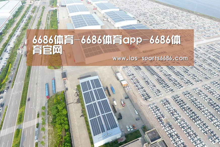 案例展示三